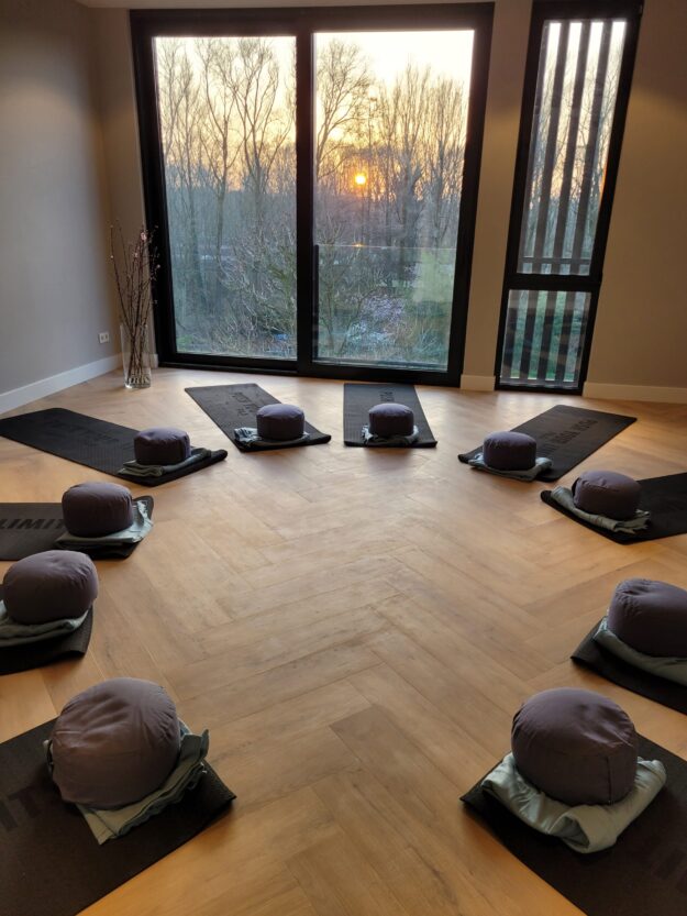 Mindfulness en yoga ruimte Mindfulness en yoga ruimte bij Suenja Trainingen met uitzicht op het Amsterdamse bos.