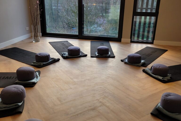 Mindfulness en yoga ruimte bij Suenja Trainingen met uitzicht op het Amsterdamse bos.